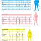 badminton t-shirt, badminton shorts, badminton pants, sportswear for badminton, athletic apparel, performance badminton clothing, breathable badminton clothing, lightweight badminton wear, men's badminton clothing, badminton training wear, badminton gear, sports clothing for badminton, badminton performance apparel, FZ Forza Bradford Men's Badminton Jacket