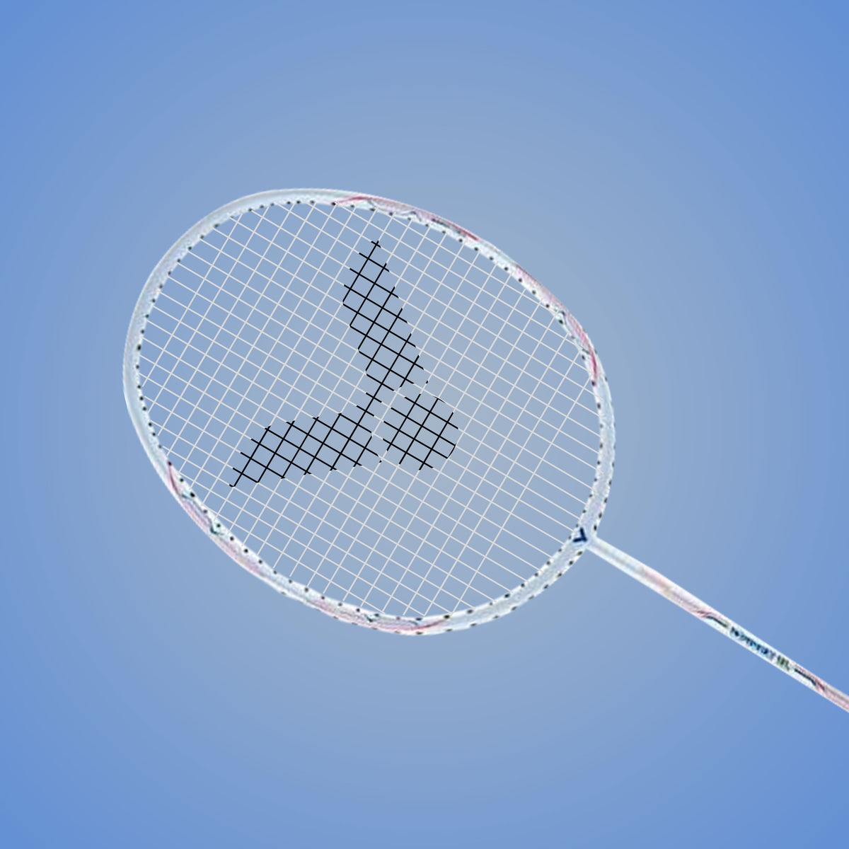 Victor Rackets For Professionals Victor Graphite Racket DX-1L-A G5 Strung – Professional Badminton ...