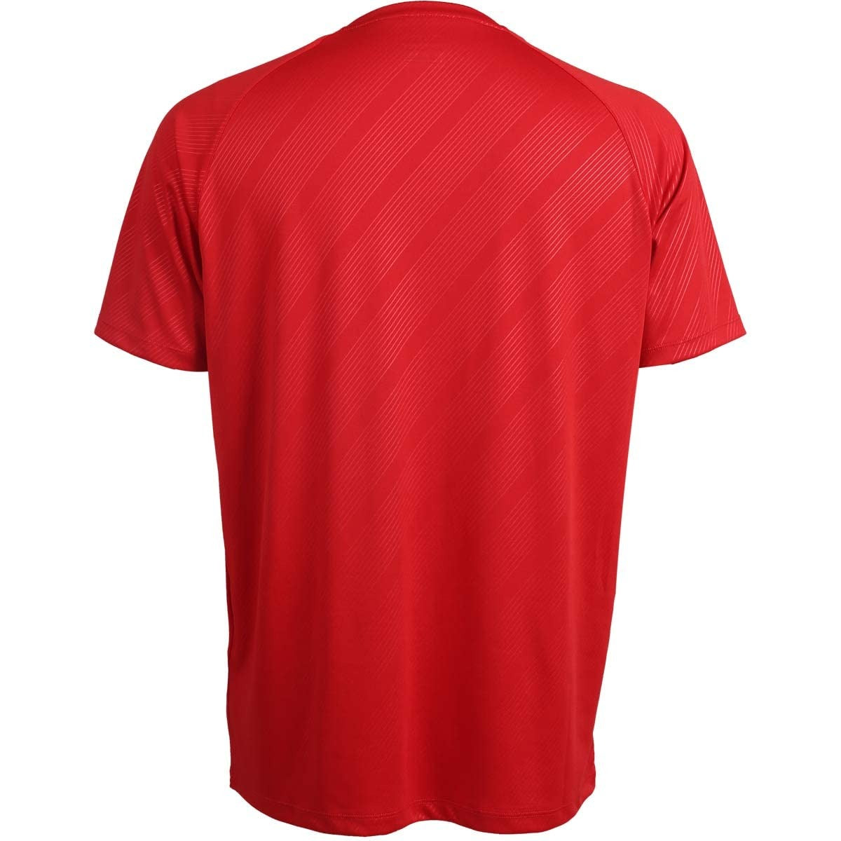 FZ Forza Hector Badminton T-Shirt | Moisture-Wicking